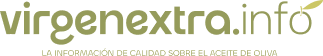 logo-virgenextra